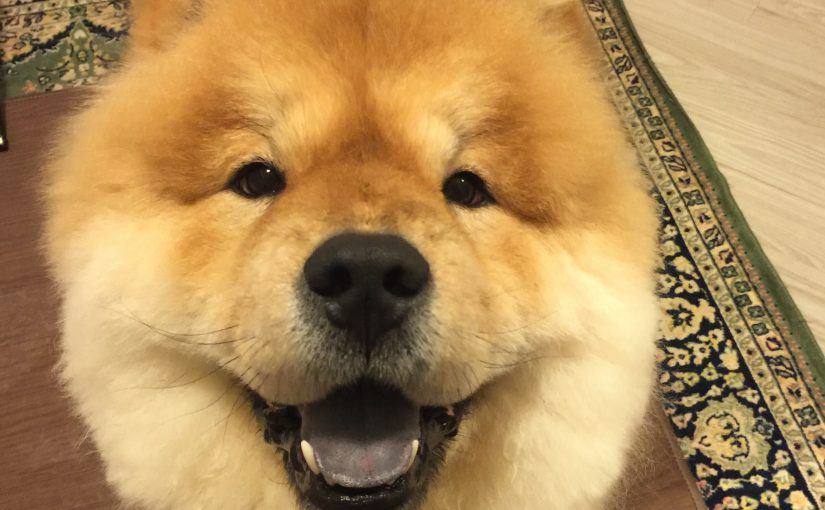 言葉で伝えるという事